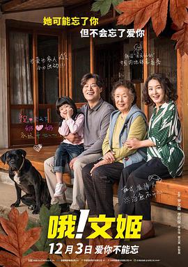 免费看91视频